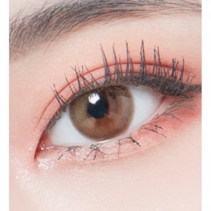 Lighly Mellow Brown(日拋)